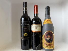 Wein Raritäten: Pata Negra, Vega Libre, Faussino I, TOP!