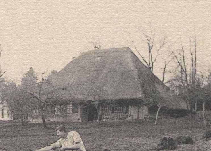 Cartoline postali: Aargauer Strohdachhaus 1904 – Usato da Rothrist venduto da Clanx 1
