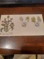 Rare enveloppe philatélique illustrée - Fruits sauvages!