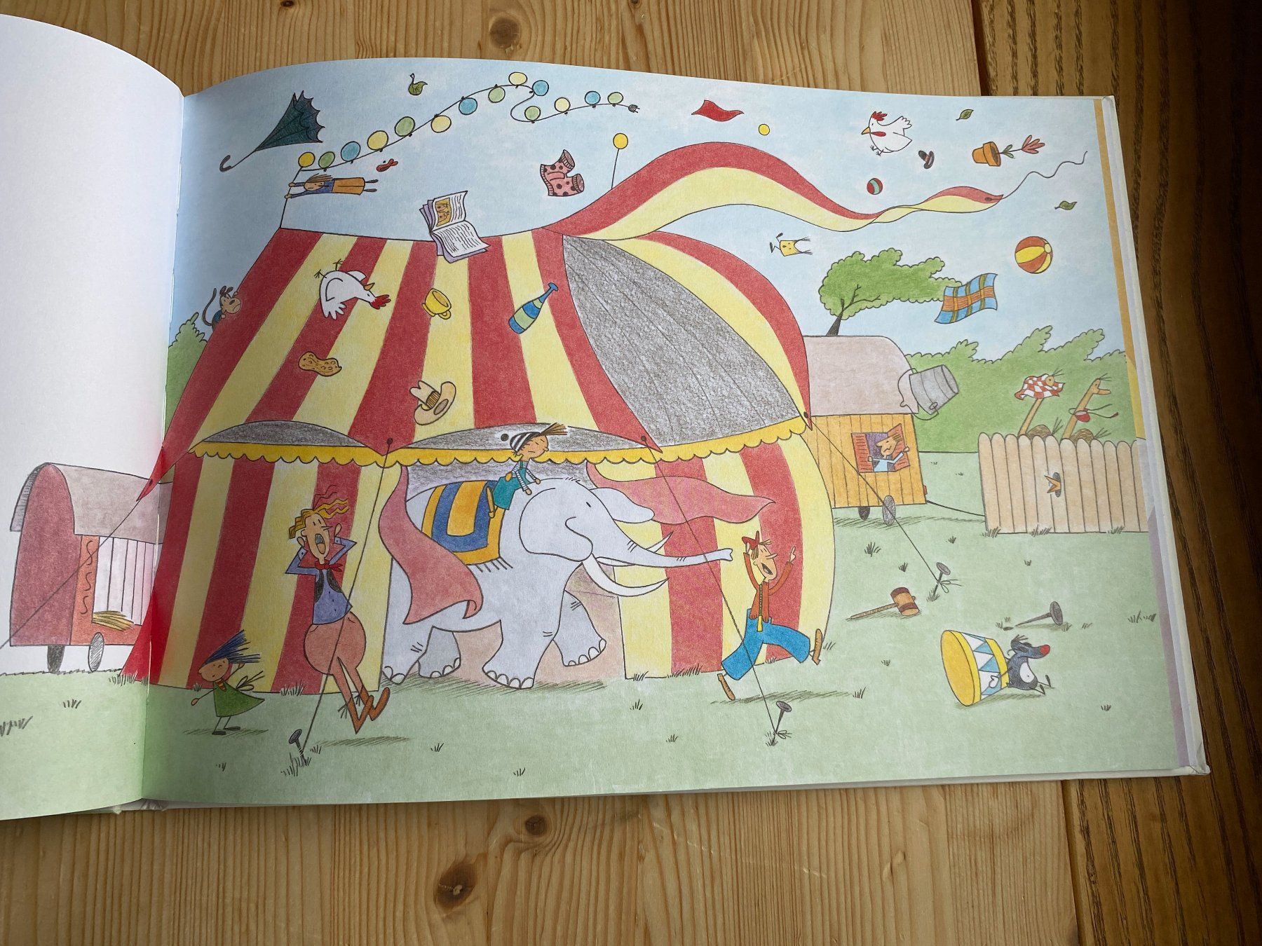 Libri: Türli & Flidari im Zirkus – Usato da Weinfelden venduto da Cheyenne21 6
