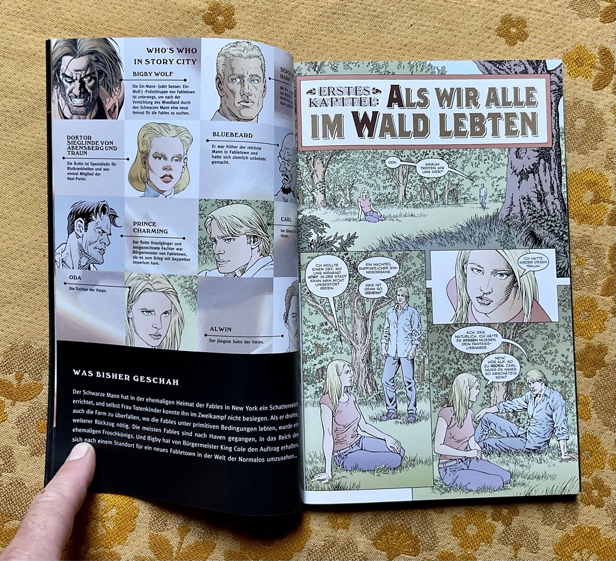 Fumetti: Fables: Stadt der Werwölfe von 2016 ? – Nuovo (secondo la descrizione) da Endingen venduto da nathan05 5