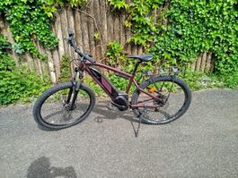 E-Bike Rockrider mit spez Lenkerverstellung