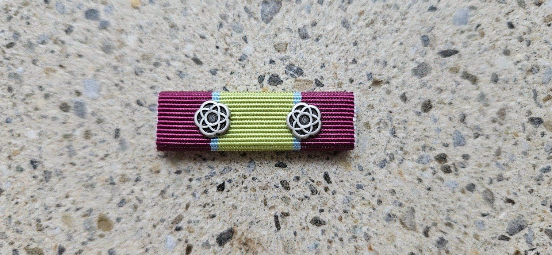 Schweizer Armee Placchette & Badge: *** Ribbon Swisscoy 2 x Silber *** – Nuovo e nell'imballaggio originale da Riedholz venduto da fr_sIruP