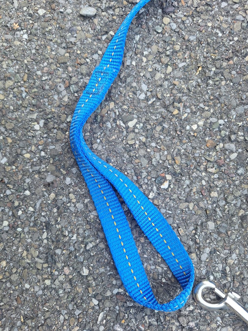 Guinzagli & Collari: Schleppleine Blau 6 Meter – Usato da Forch venduto da merlotpomerol 2