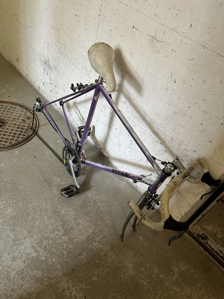 Titan Biciclette: Titan Rahmen velo – Usato da Egerkingen venduto da G1970B