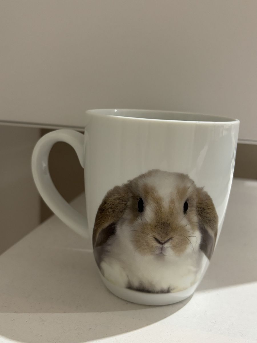 Migros Tazze: Tazza coniglio – Nuovo (secondo la descrizione) da Losone venduto da Tilly-nb7t