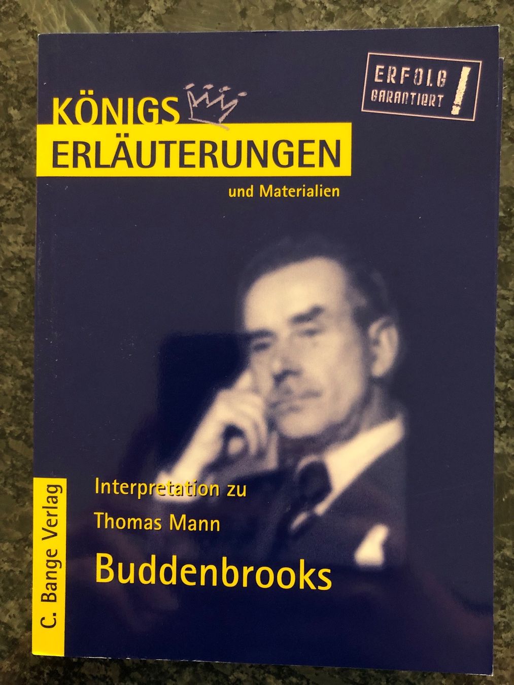 Livres: Königserläuterung Buddenbrooks – D'occasion à Hinteregg par Carimba90