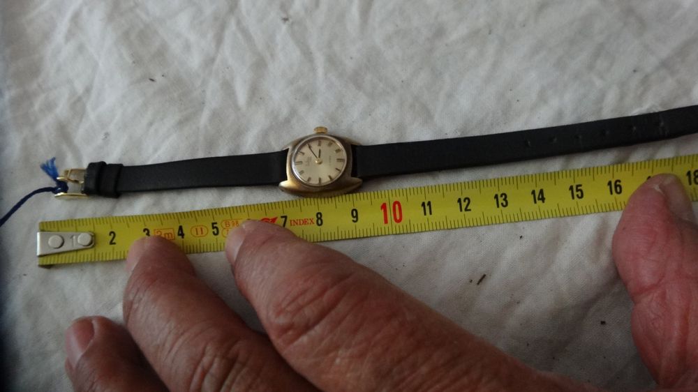 DuBois et fils Montres: DUBOIS UHR.DAMEN UHR.HANDAUFZEUG.17JEW.SEHR KLEINE UHR.LÄÜFT – D'occasion à zürich par ahmad01