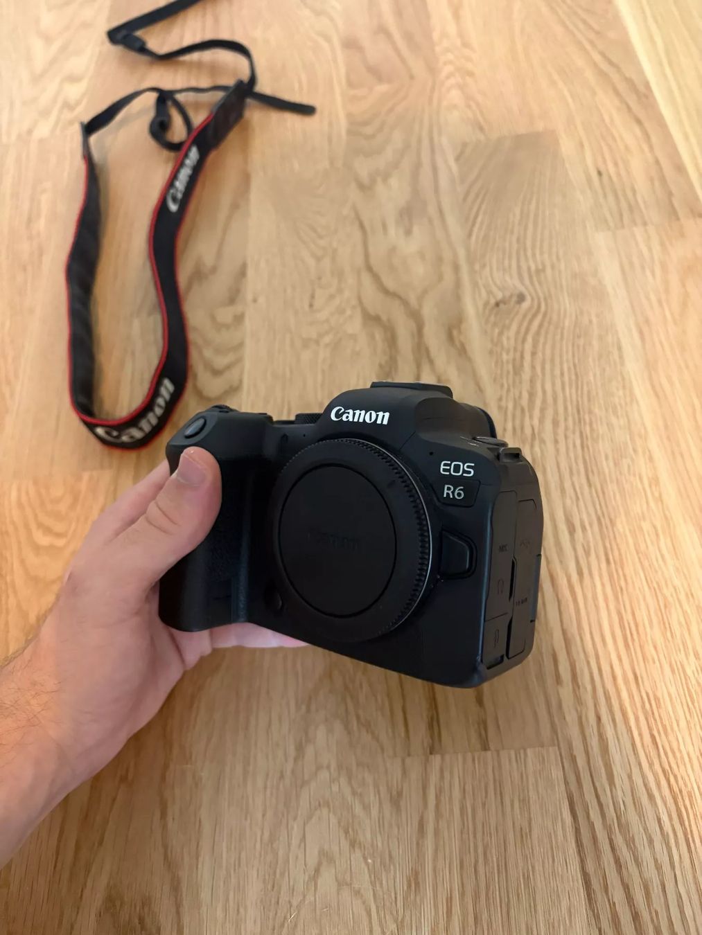 Canon Fotocamera: Canon EOS R6 Body – Usato da Steinhausen venduto da lar_xsq9 2
