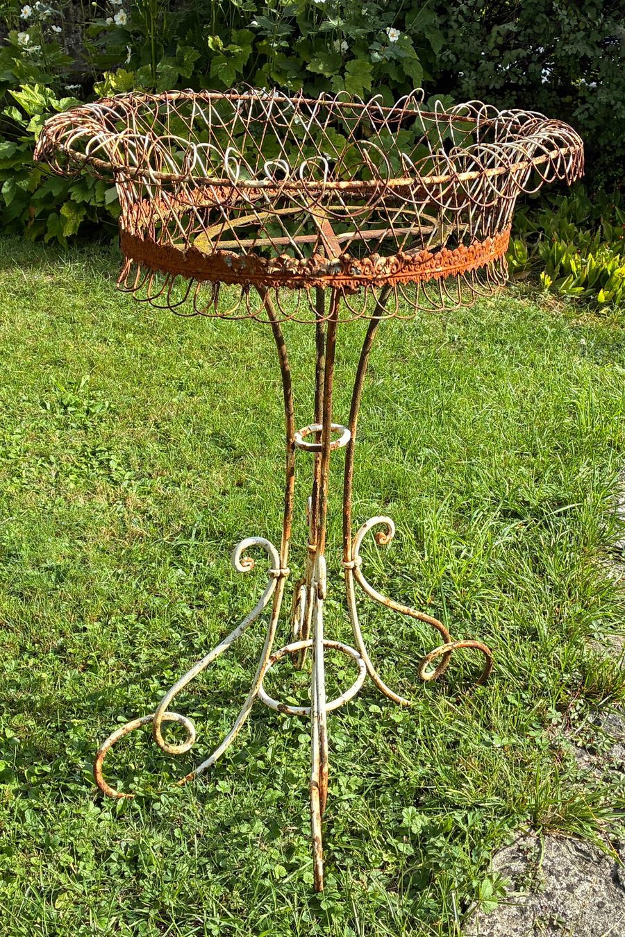 Altro per la casa: Antike Jardinière Blumenständer 1900 – Usato da St. Gallen venduto da fabreto