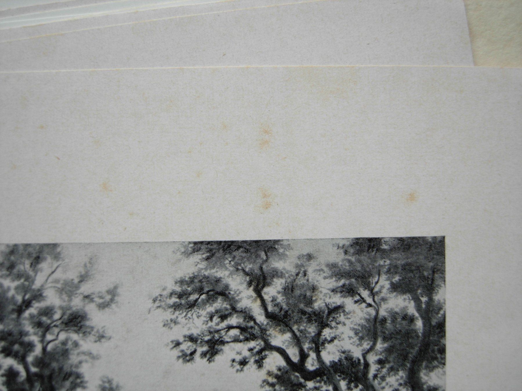 Arts picturaux & lithographies: Dr. Neues+Co GmbH, Grafikmappe – D'occasion à Dübendorf par rumpumpel 8