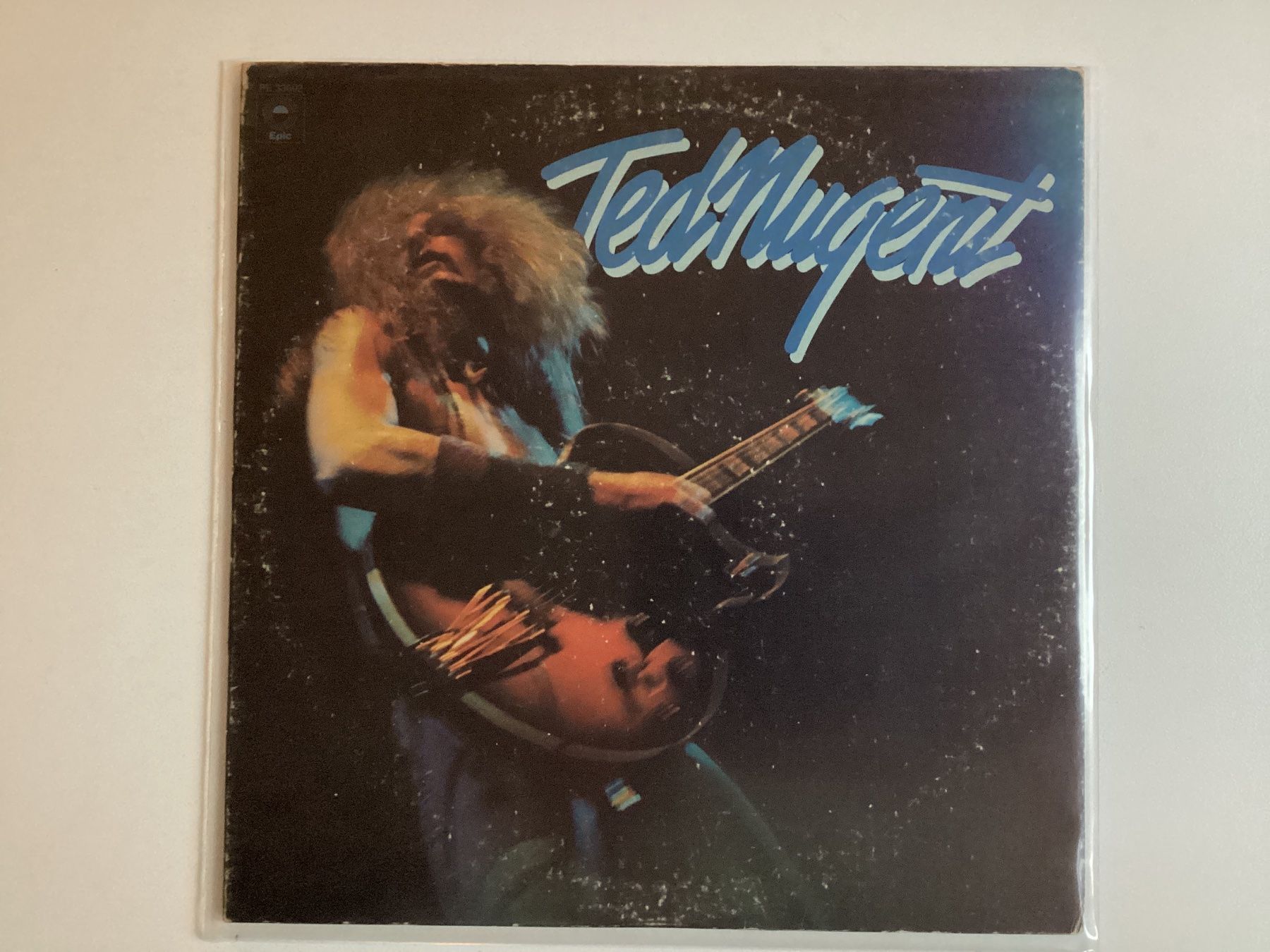 Dischi in vinile: Ted Nugent LP – Usato da Gutenswil venduto da Hamzian