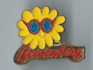 Beatenberg /Pin