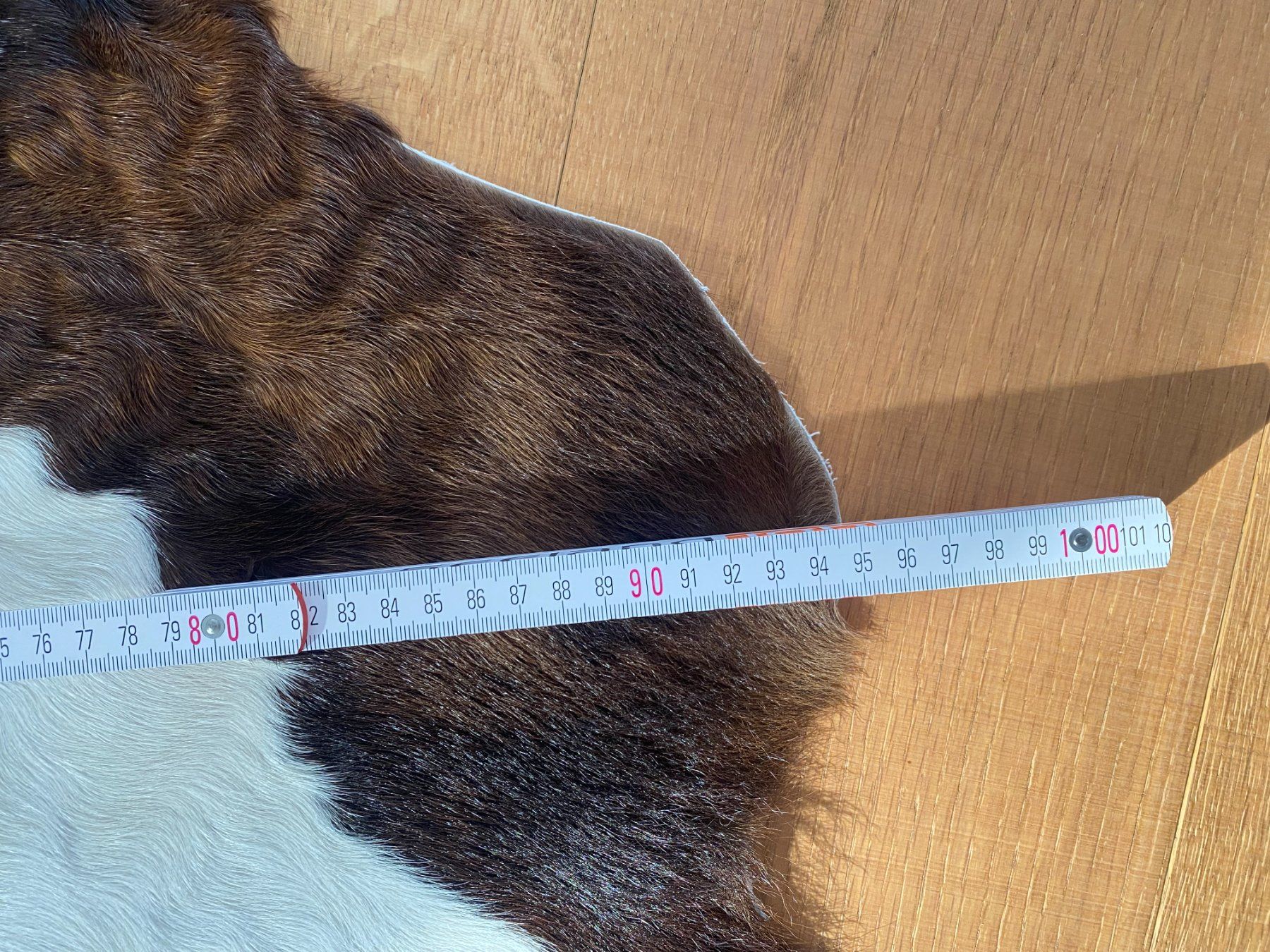 Tapis: Fellteppich - Kalb – D'occasion à Unterterzen par bac_287t 4