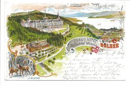 Zürich - Grand Hotel Dolder - Rest. Waldhaus - Litho - 1899