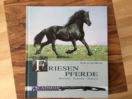 Friesenpferde, Reiten Fahren Halten, ein Rasseporträt