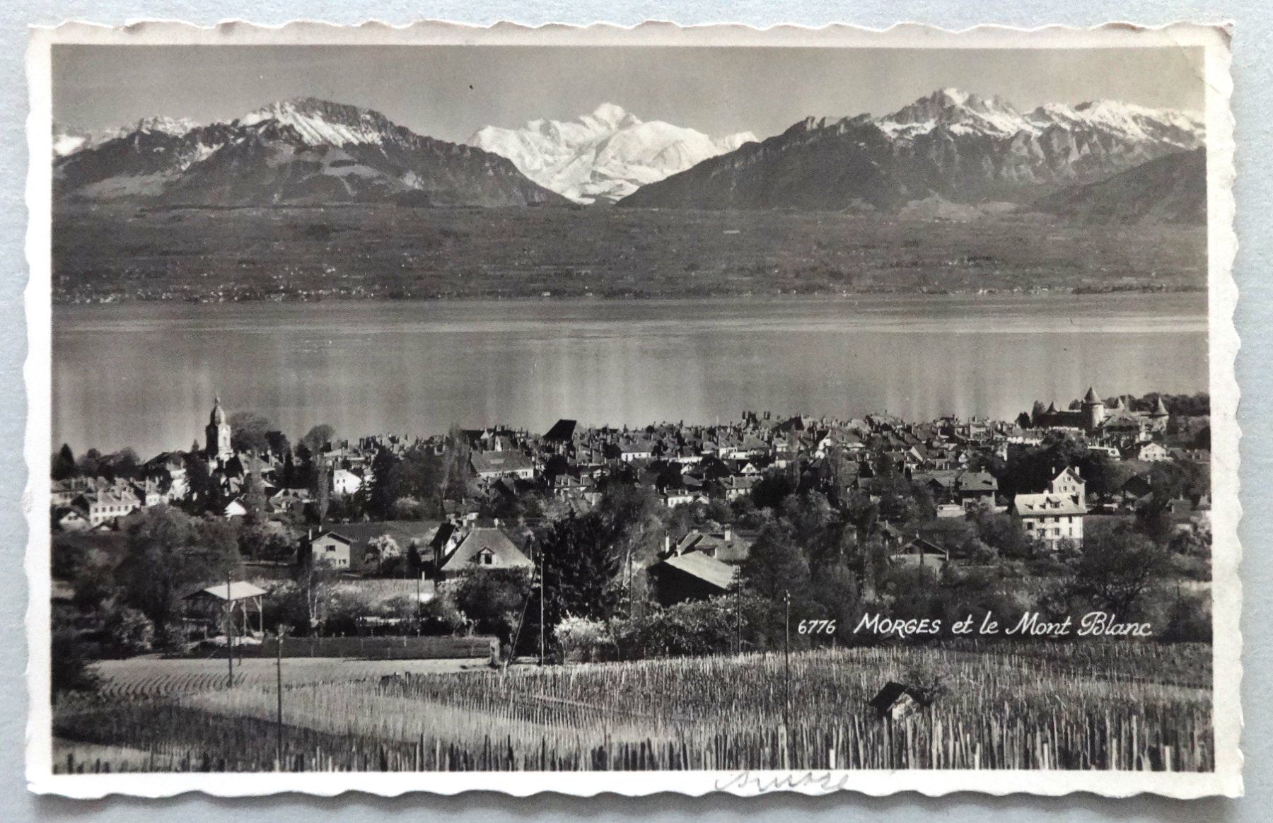 Cartoline postali: Morges et le Mont Blanc – Usato da Fétigny venduto da Billy2miny