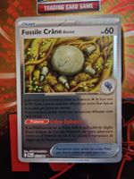 Fossile Crâne Reverse (073/084) Nuit Noire - PBL fr