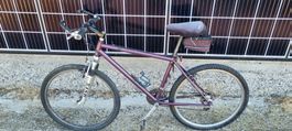 City MTB 26"