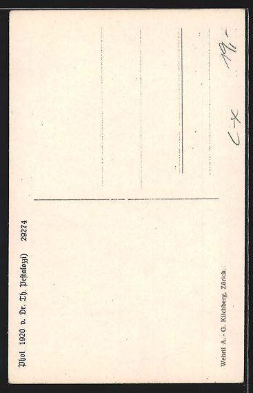 Cartoline postali: Zürich, Haus in der Feldeggstrasse 80 – Usato da Berlin venduto da bartko-reher 1