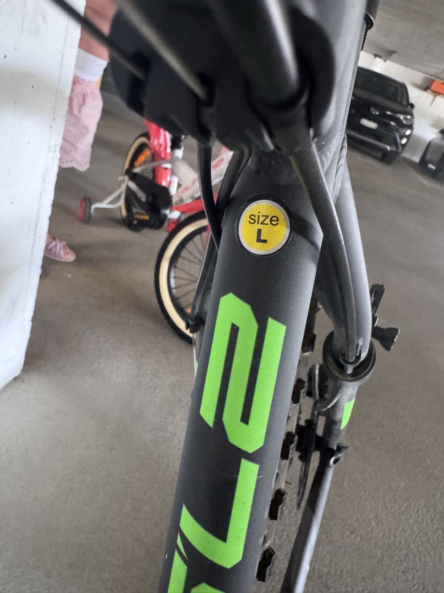 Biciclette: Mountainbike Whistle Grösse L gebraucht – Usato da Meisterschwanden venduto da knurry 2