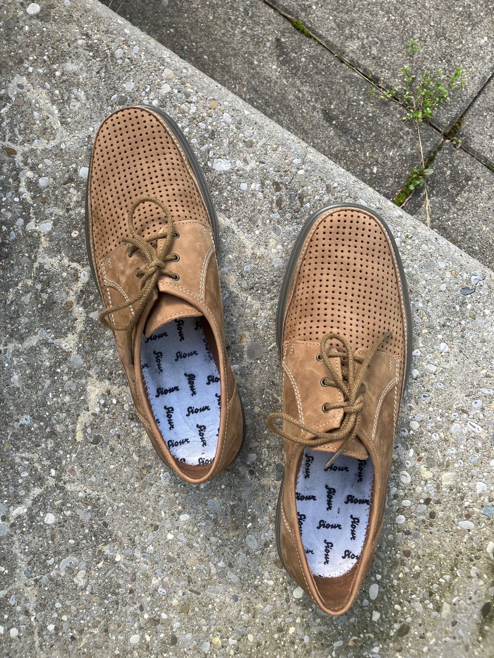 Scarpe da uomo: Sioux Schnürschuh aus Veloursleder – Nuovo (secondo la descrizione) da St. Gallen venduto da ti_7knv 1