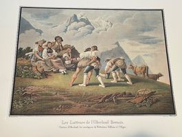 bild schwingen, schwinger nachdrucke 3 verschiedene 44/37 cm