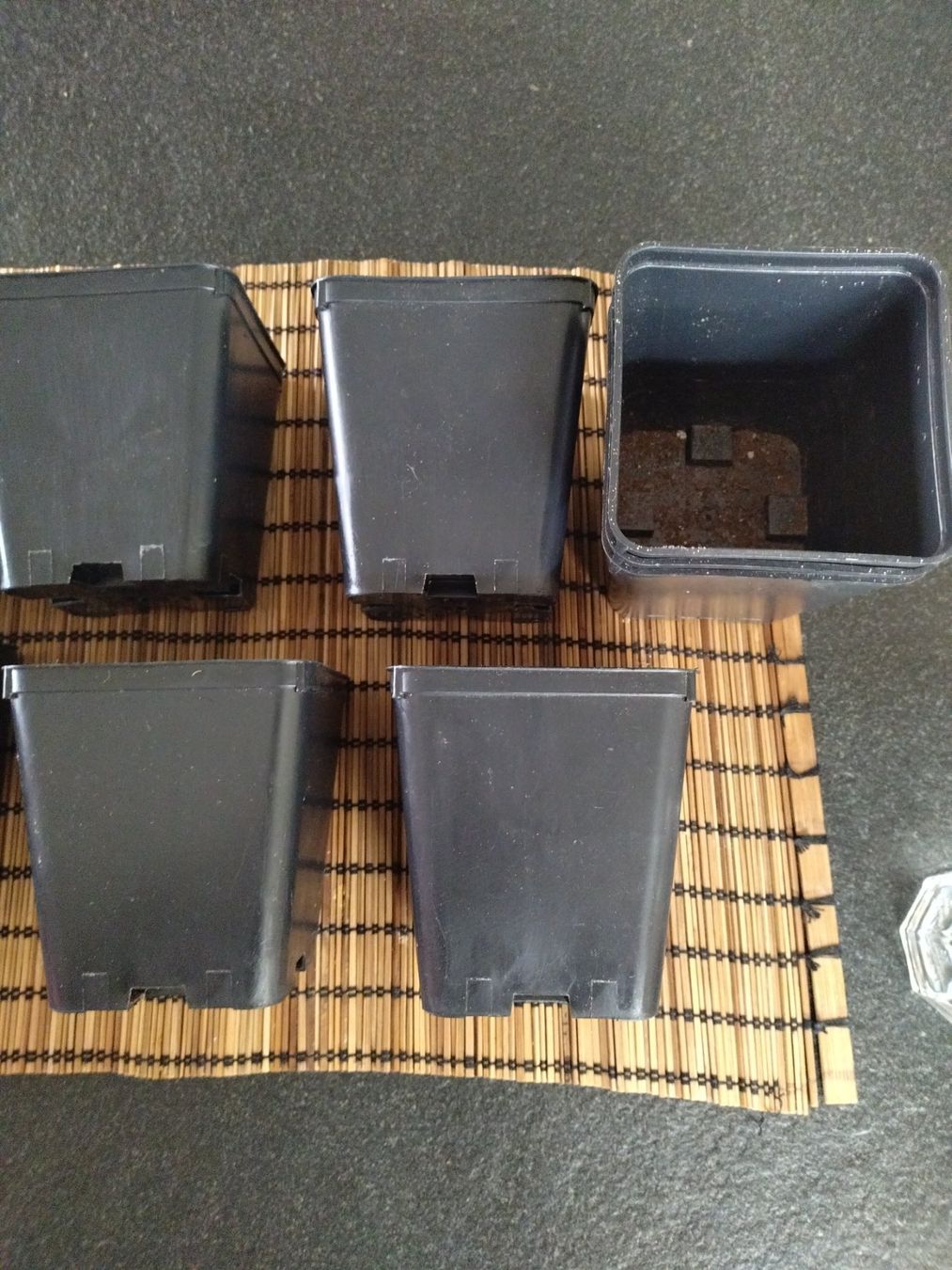 Vasi per fiori: Anzuchttopf 10x10x12cm 50 Stk – Usato da Rüti ZH venduto da Lux05 1