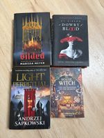 Set of 4 fantasy books in English 
