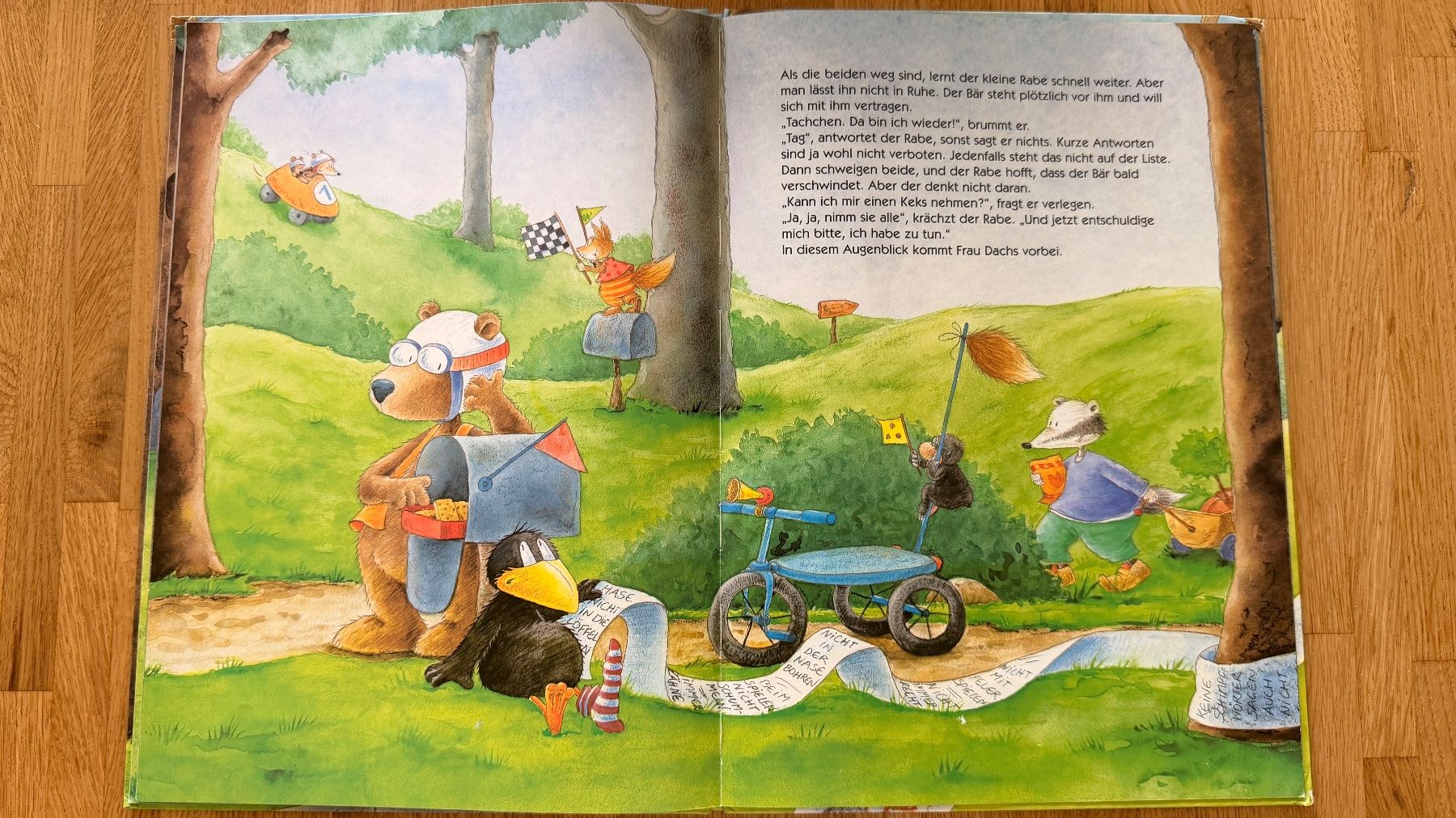 Libri: Buch - Rabe Socke - Alles erlaubt? Oder immer brav sein scha – Usato da Winterthur venduto da Secondhand-Family 8