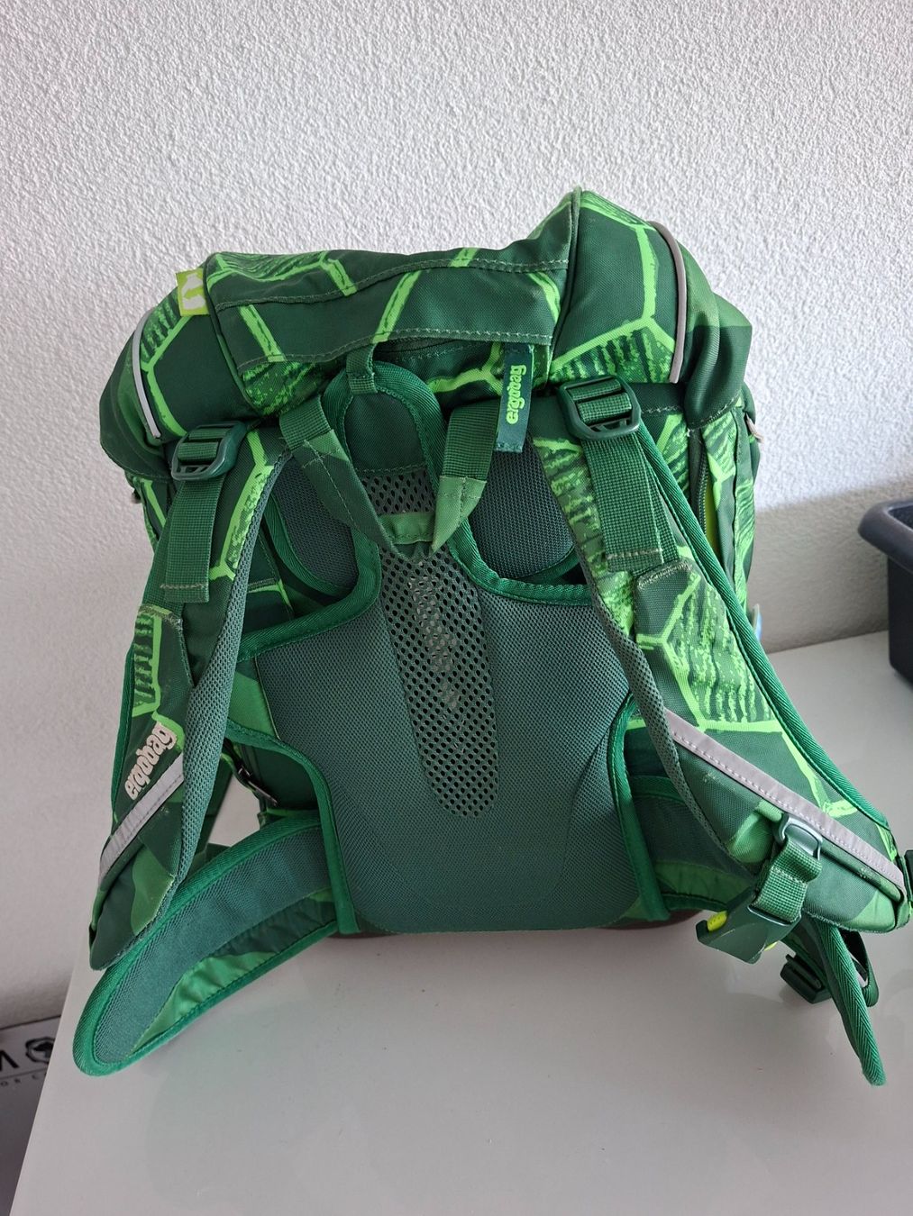Ergobag Borse & Zaini: Schulsack von Ergobag mit dazugehörigem Turn-Rucksack – Usato da Birsfelden venduto da eliot08 1