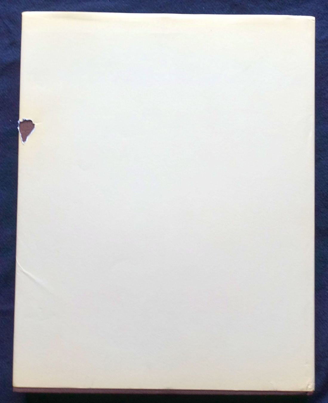 Libri: Adi Holzer, 1986, Galerie Carinthia – Usato da Gutenswil venduto da Optico 2