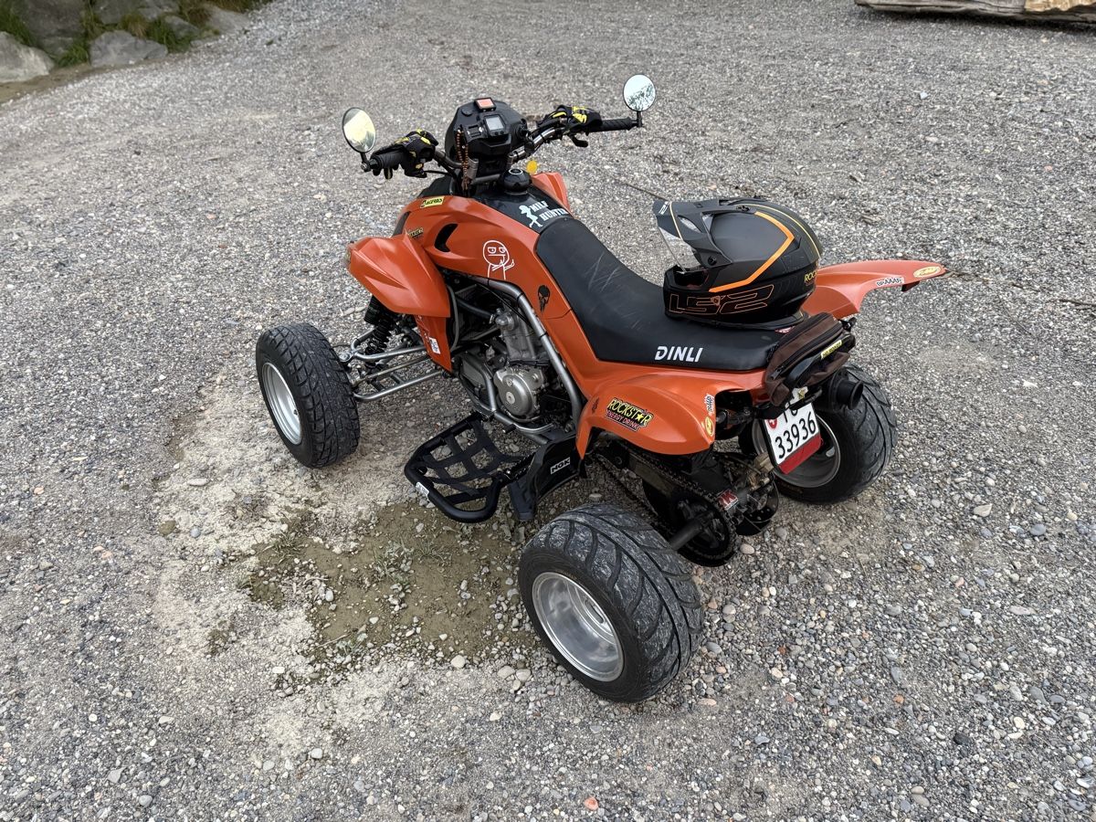 Dinli Quads: Dinli DL DMX 450 – D'occasion à Bischofszell par Ehelena 2