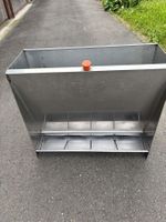 Futterautomat für Schweine
