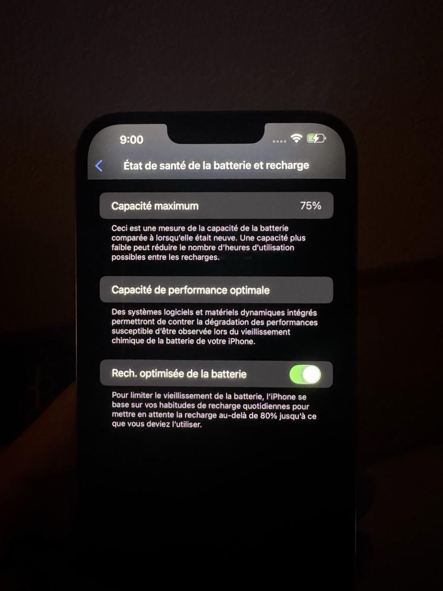 Apple Telefoni cellulari / Smartphones: iPhone 13 Pro Max 256Go  – Usato da Muraz (Collombey) venduto da bry_8qq5 2