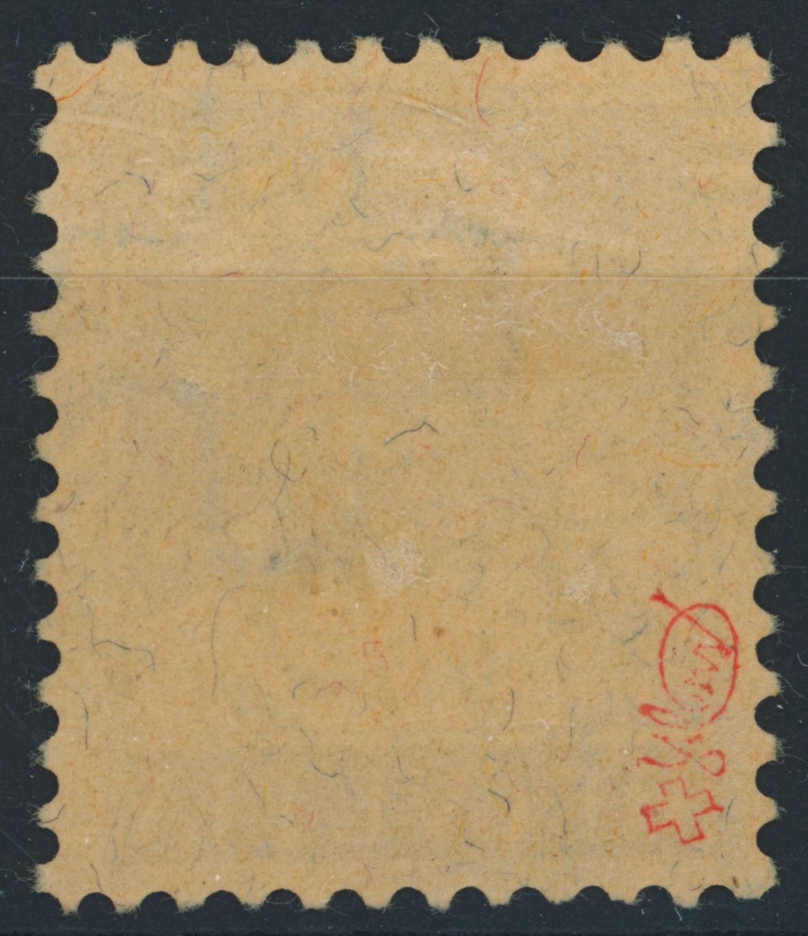 Tutti i francobolli: 1921 - Tellbrustbild - Abart - gestempelt – Usato da Schindellegi venduto da leecollect 1