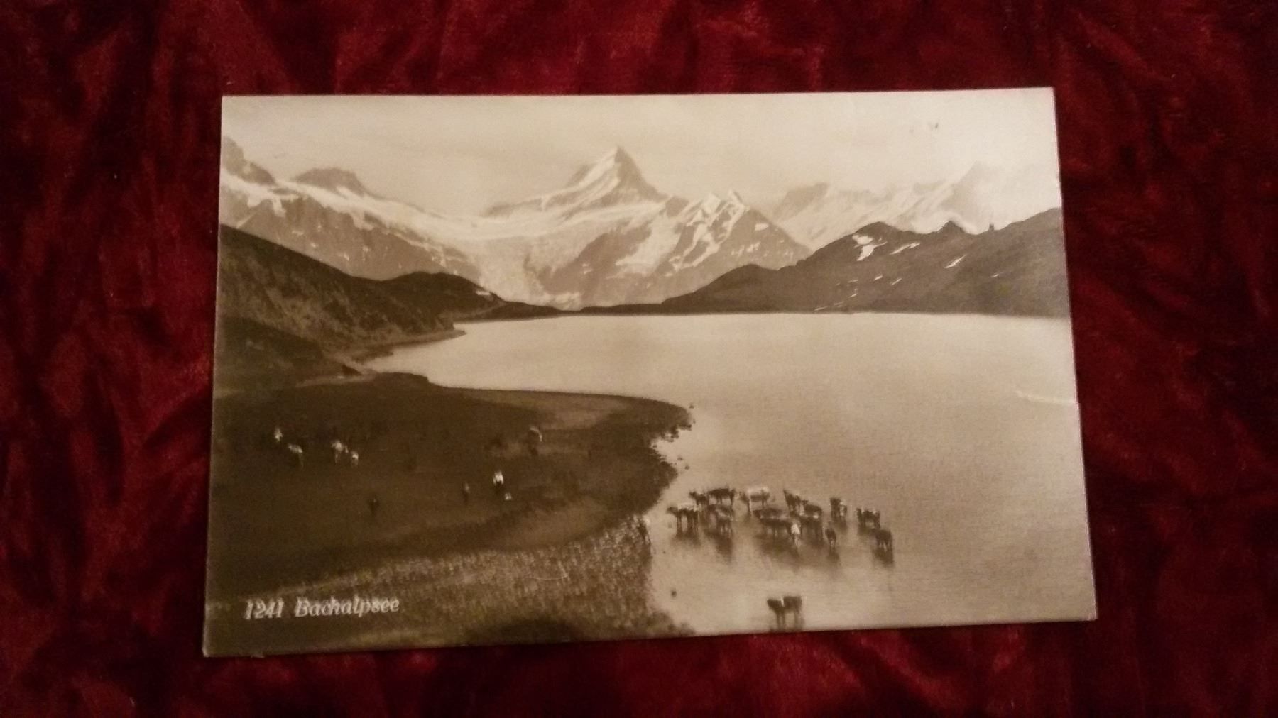 Cartes postales: Bachalpsee – D'occasion à Bischofszell par Joachim-115