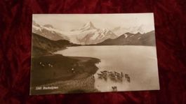 Bachalpsee