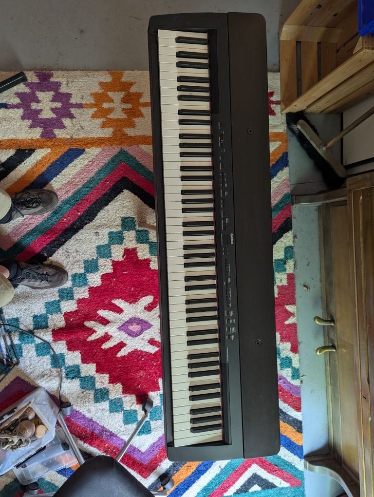Yamaha Strumenti musicali: Yamaha Electronic Piano P-140 – Usato da Zürich venduto da Brenzala 1