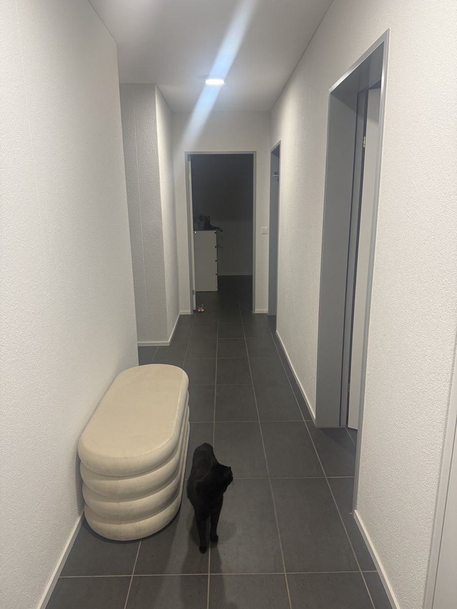Bänke: Polsterbank / Hocker – Gebraucht aus Holziken von lad_6b9f 2