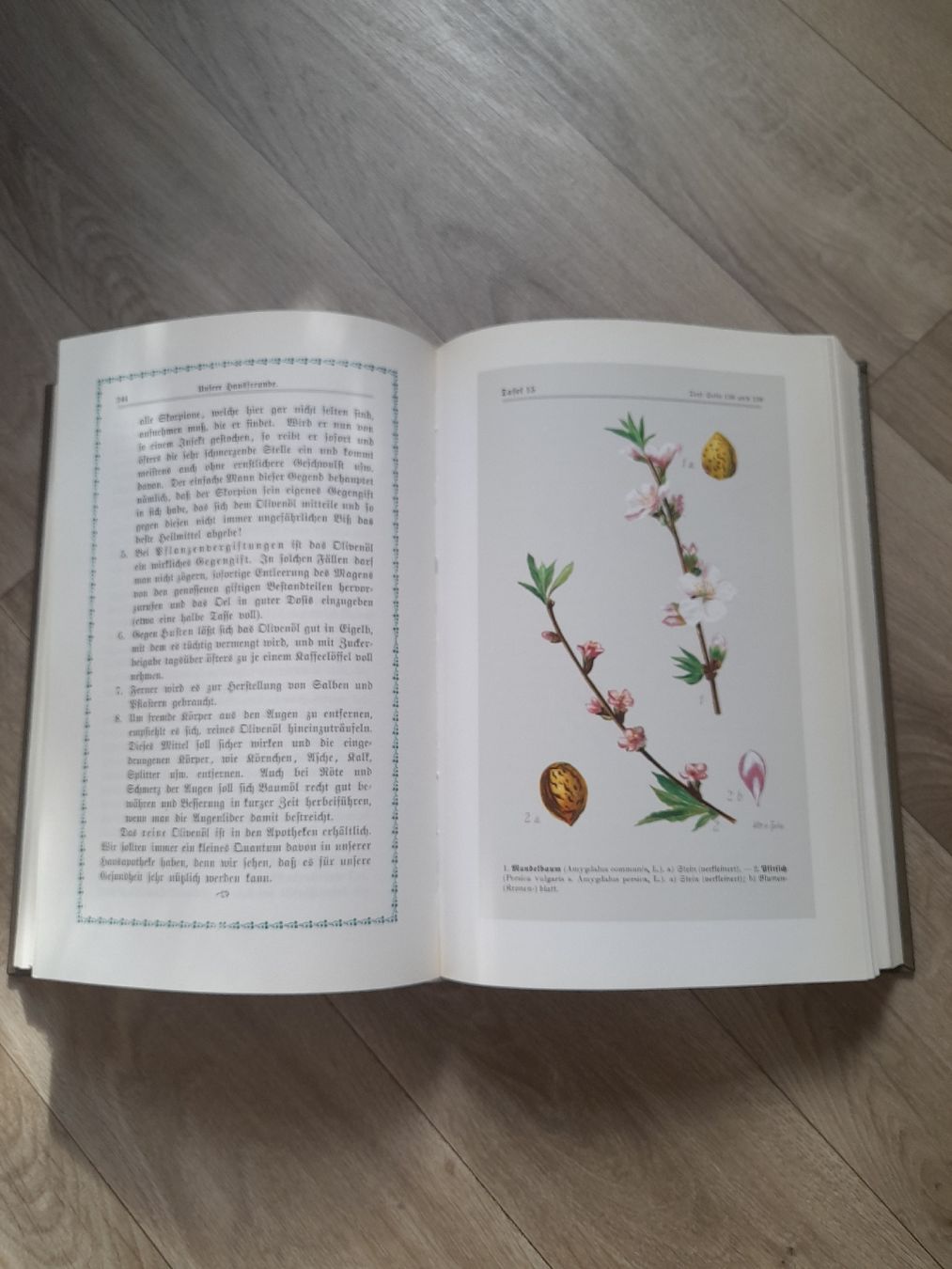 Bücher: Kräutersegen 1896 – Gebraucht aus Basel von Basel_20 4