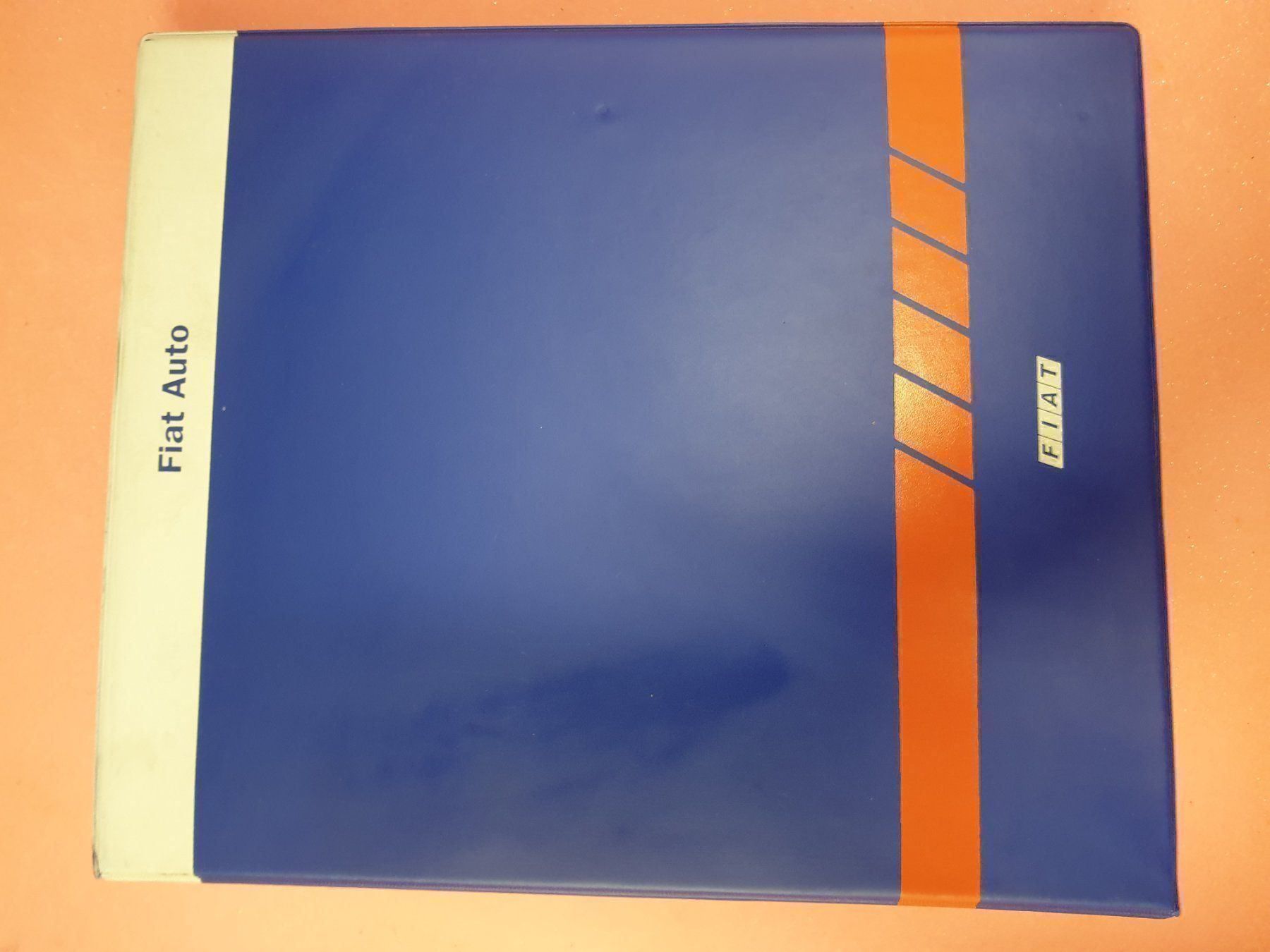 Libri: Werkstatt Handbuch – Usato da Winterthur venduto da express36