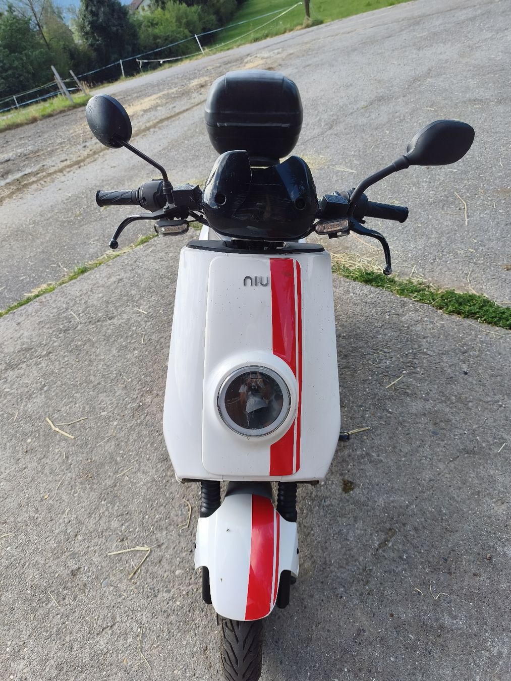 Scooter: E-Roller NIU – Usato da Benken SG venduto da BestBuy1988 2