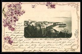 AK Neuchâtel, Vue générale sur la ville et le lac