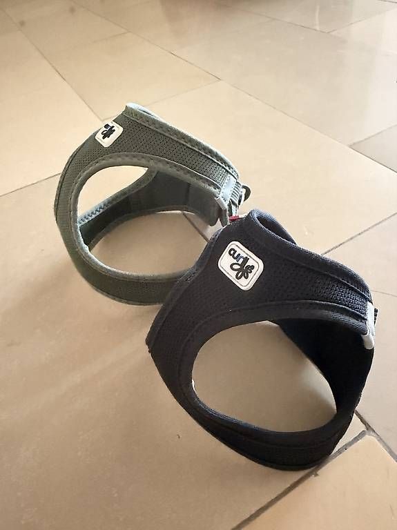 Leine & Halsband: Curly Hundegeschirr – Gebraucht aus Meggen von mar_rb27 1