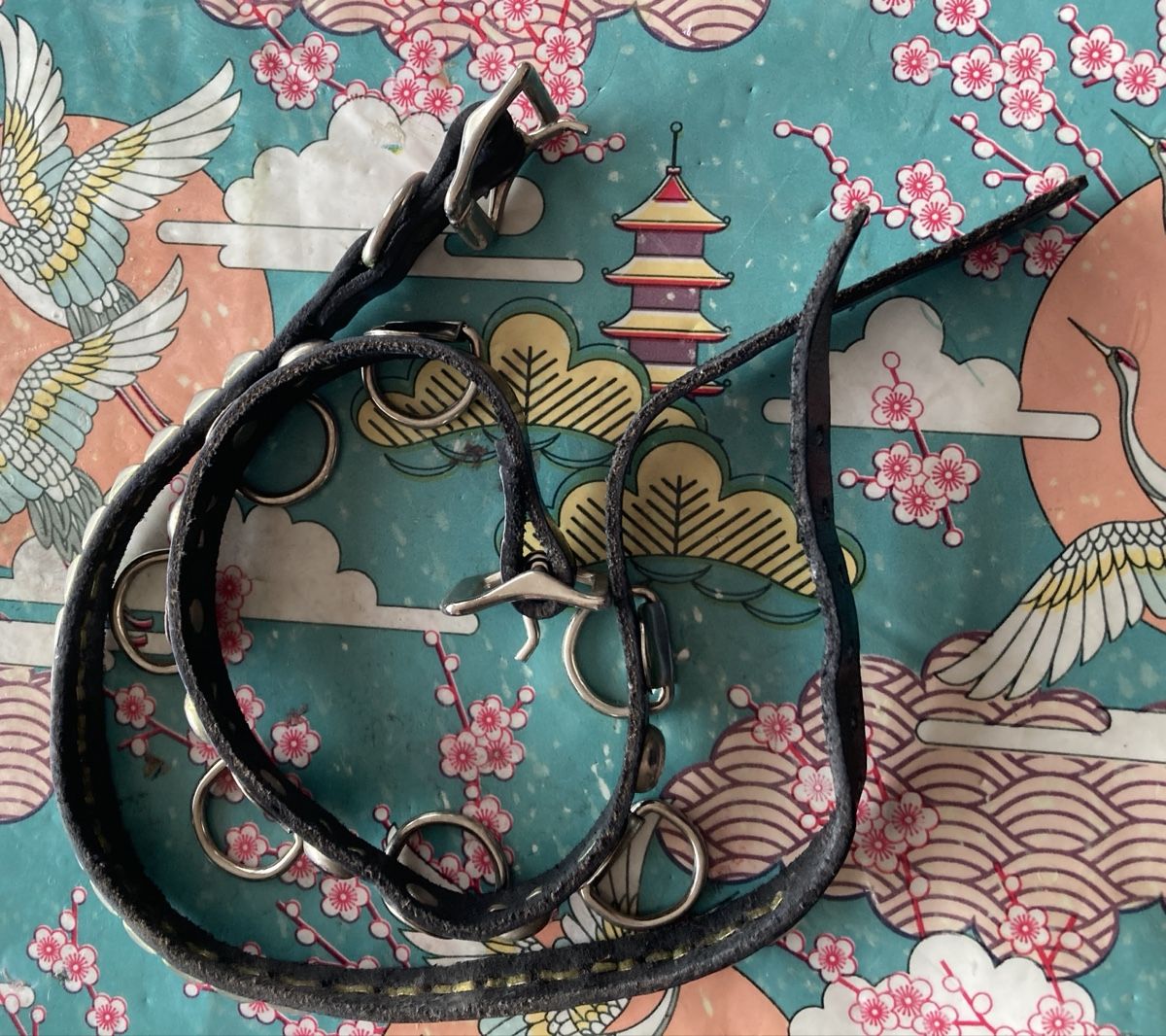 Catenine: Chocker Leder Halsband Punk Emo Rock SM – Usato da Birsfelden venduto da Soulseeker 2