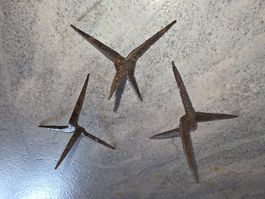 Krähenfuss / Fussangel  set.
