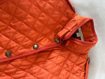 Burberry Jacket / New