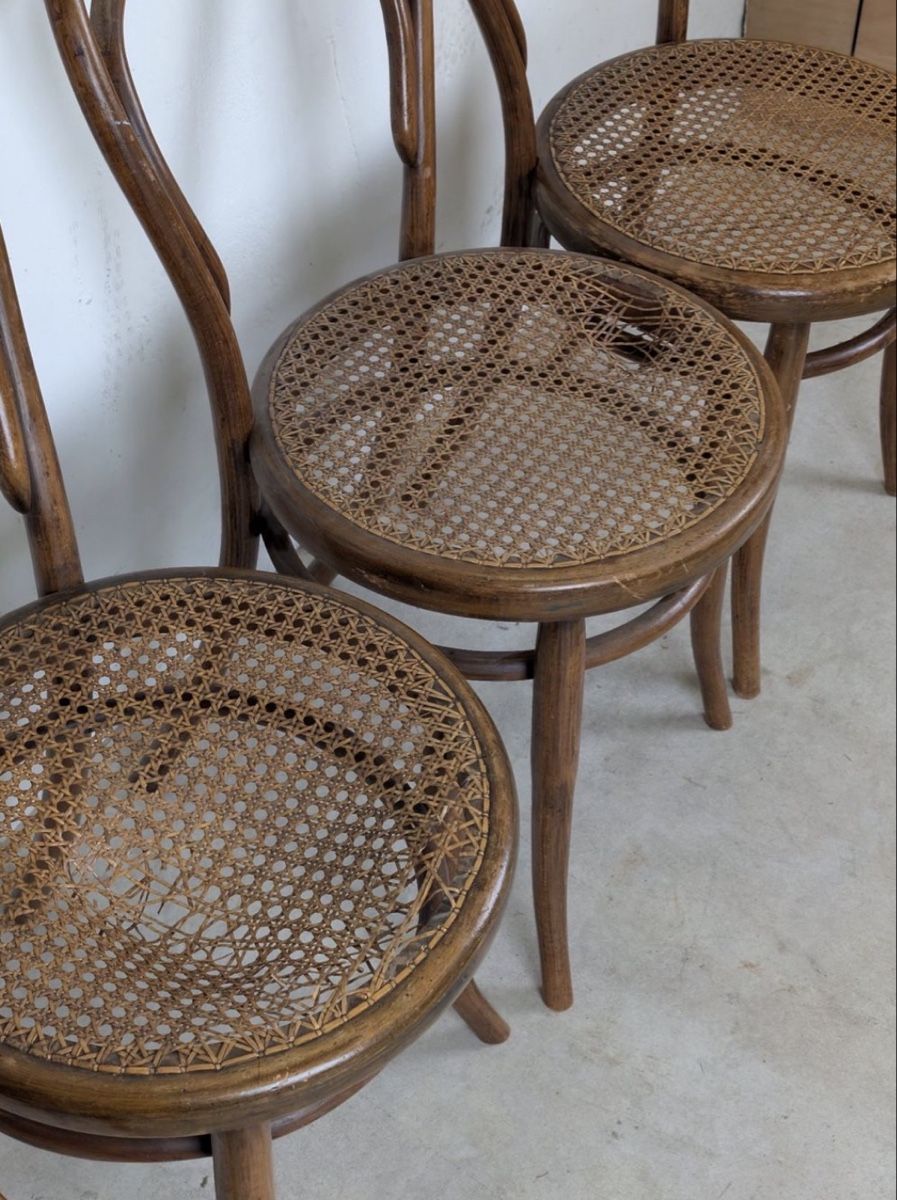 Sedie: 4 Fischer / Thonet Stühle – Usato da Zürich venduto da eggasch 3