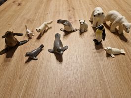 Zu Verkaufen Schleich Arktische Sammlung